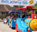 Buttercup Walk gallery