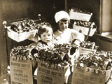 Buttercup Walk 1930s