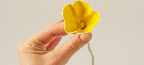 RNOH Charity launches The Buttercup collection