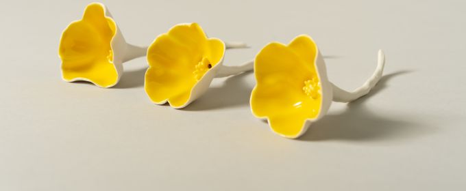 The Buttercup Collection