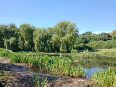 Stanmore lake